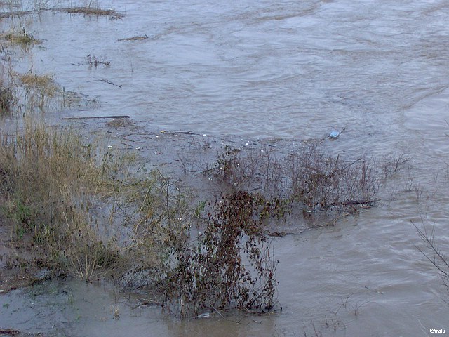 Ufer und angeschwemmter Müll