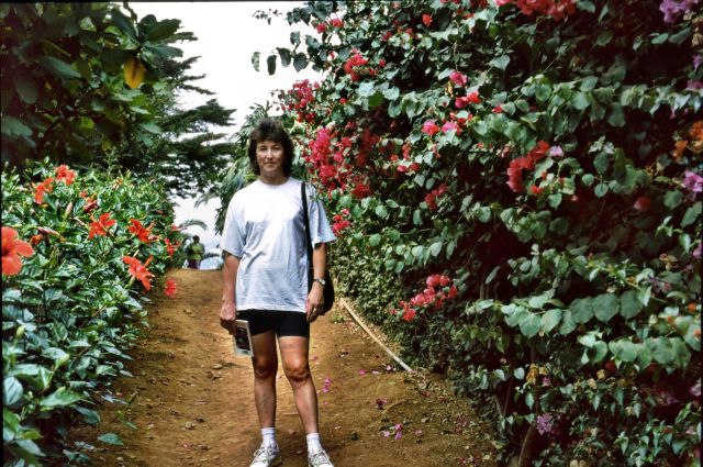 Madeira , die Vulkan- aber auch Frühlingsinsel, Teil 1 3