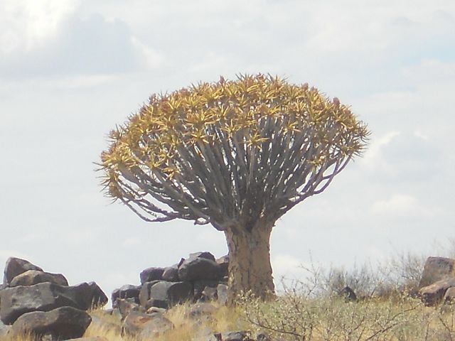 Namibia 2011/12 2