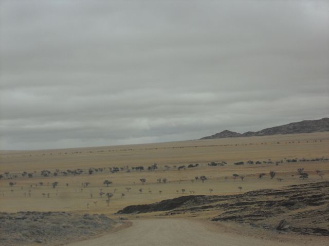 Wüste 3