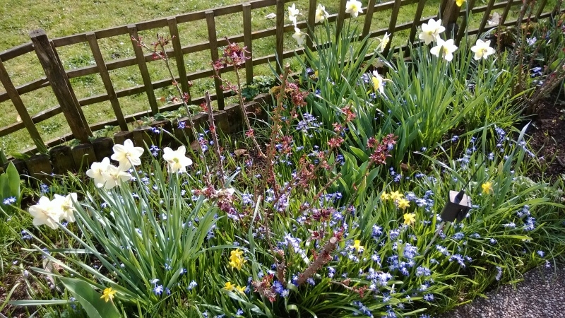 Frühling im Garten