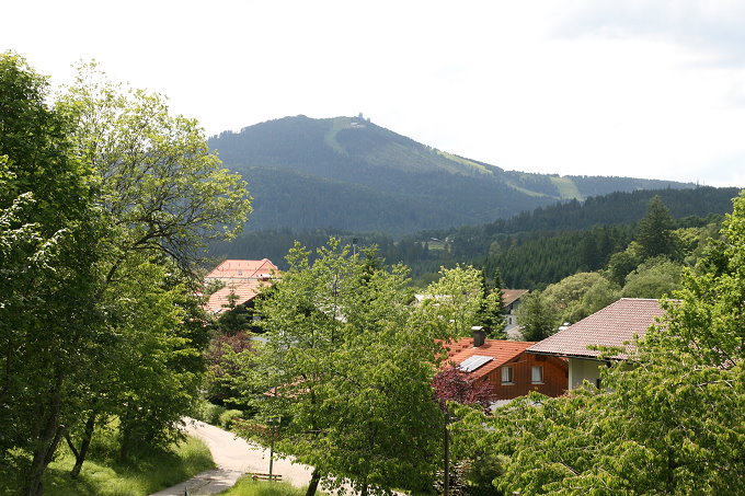 Naturparkzentrum Falkenstein 7