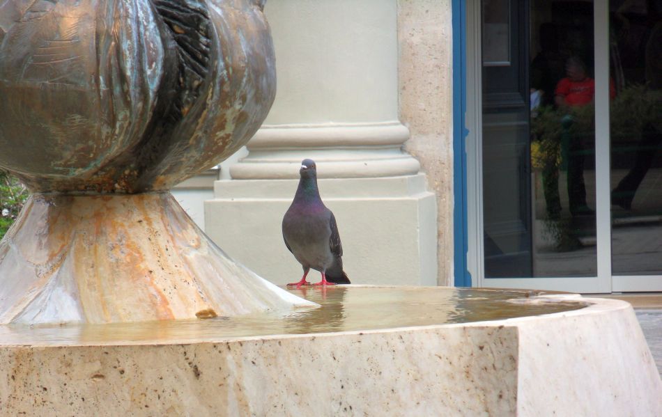 H:Eger>Schneckenbrunnen3