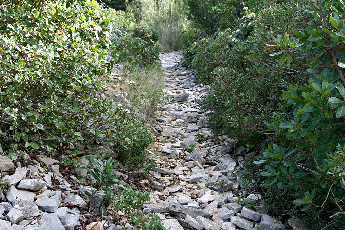 Frühling in Vela Luka 7