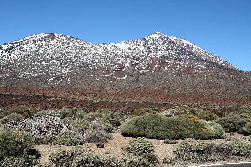 Teide  (5) 800