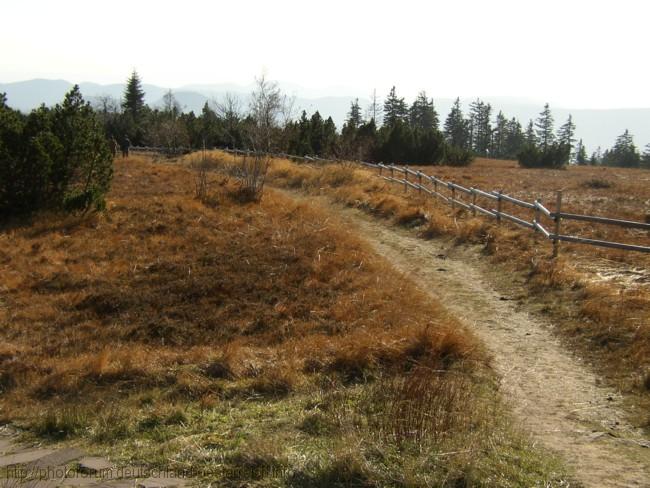 SCHWARZWALD > SCHLIFFKOPF > Wanderweg im Kreis Freudenstadt