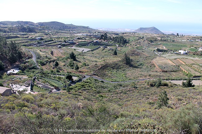 TF-21 zwischen Granadilla de Abona und Vilaflor > Ausblick