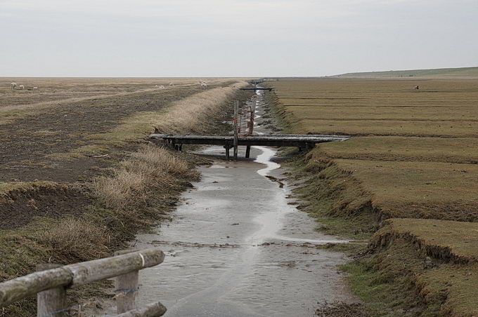 Hamburger Hallig 4