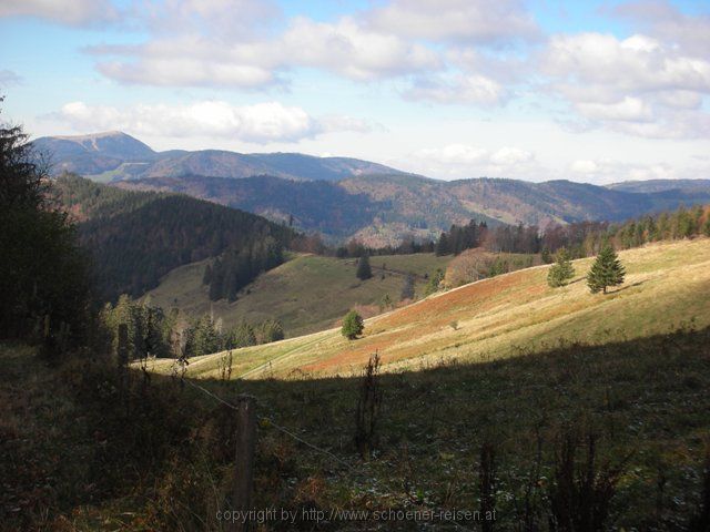 GESCHWEND > Schwarzwaldblick von der Gisobodenalm