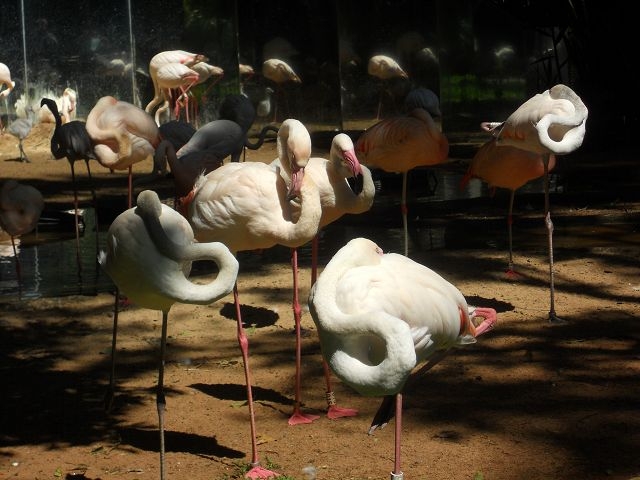 Vogelpark