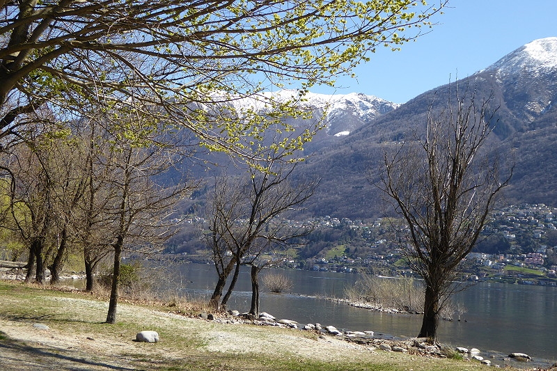 02 Ufer  See Ascona 800 (1)