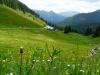 Radtour z. Wallberghaus>nach der Portnessalm