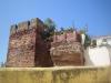 Silves (37)