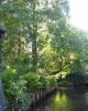 Spreewald