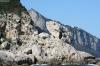 INSEL CAPRI - Bootsfahrt rund um die Insel > 014 Punta del Capo