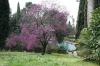 TIVOLI > Villa d'Este > Park > 16n17 - Blick zu den Fischbecken 21