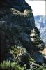 Madeira , die Vulkan- aber auch Frühlingsinsel, Teil 3 5