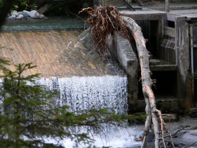 Zillertal grantig und lieblich 3