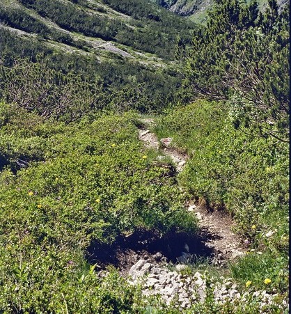 Wanderungen im Lechtal 3