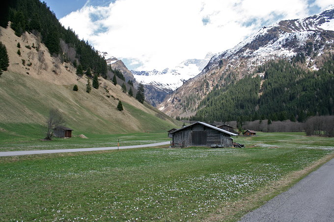 Frühling im Schmirntal 2