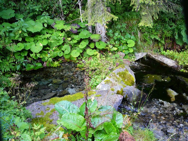 Zillertal grantig und lieblich 5