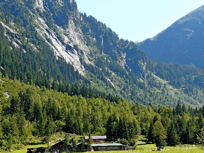 Tirol > Wanderung durch den  Zemmgrund