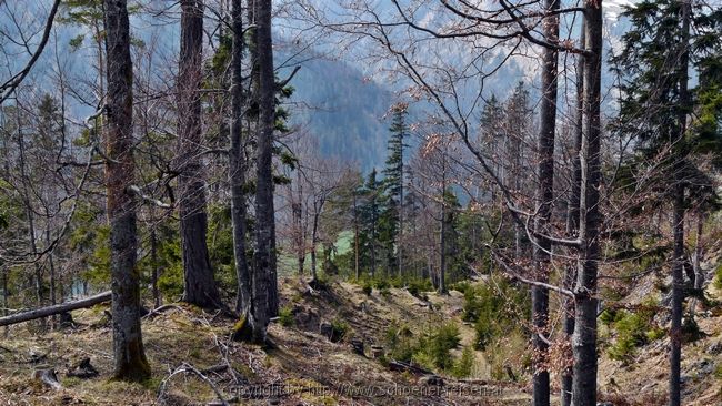 Achenkirch>Köglalm