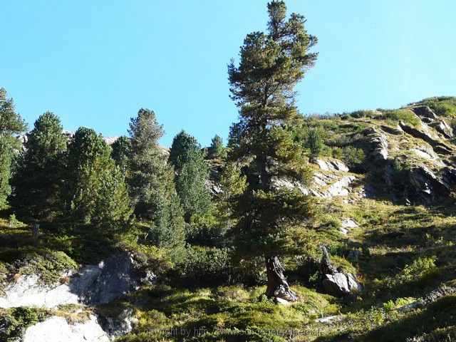 ZILLERTAL>Zemmgrund>Berliner Hütte