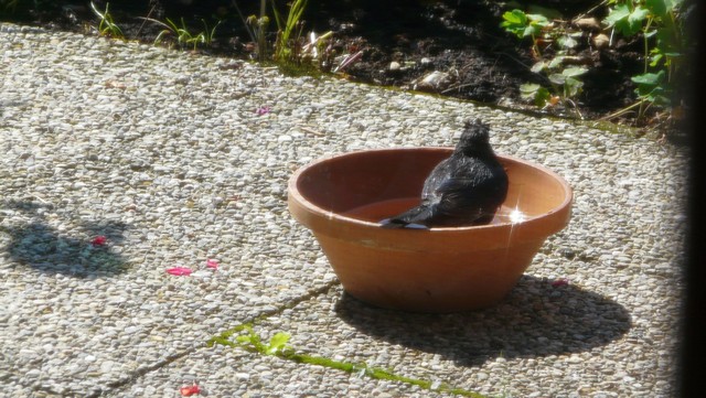 Radlauffahrt zum Pendling 2