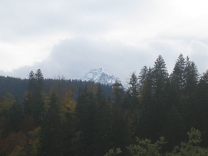 Wanderung Plansee Griesen 7