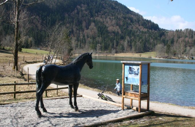 THIERSEE > Der schwarze Schimmel