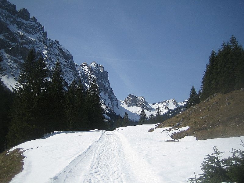 Musauer Alm 022