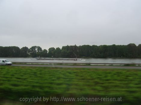 RHEINLAND-PFALZ > Entlang des Rheins 4