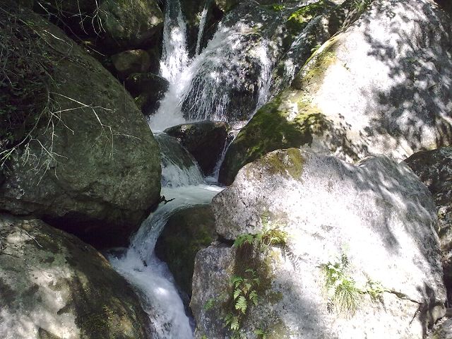 MUGGENDORF > Myra Fälle 8