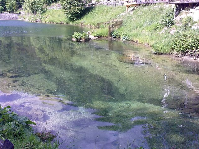 MUGGENDORF > Myra Fälle