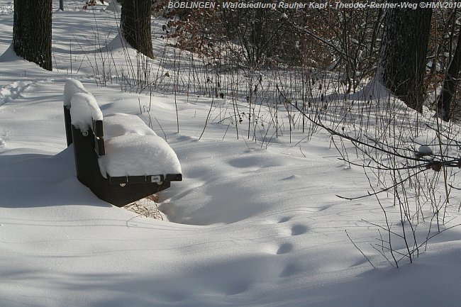 BÖBLINGEN-RAUHER KAPF > Waldsiedlung - Schneespaziergang am 26. Dezember 2010 > Theodor-Renner-Weg