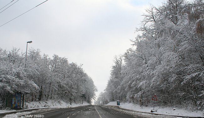 BÖBLINGEN-RAUHER KAPF > Waldsiedlung - Schneeeindrücke vom 13.12.2008