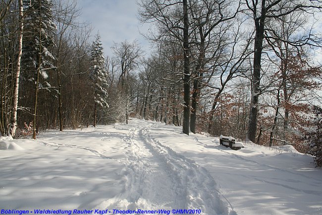 BÖBLINGEN-RAUHER KAPF > Waldsiedlung - Schneespaziergang am 26. Dezember 2010 > Theodor-Renner-Weg