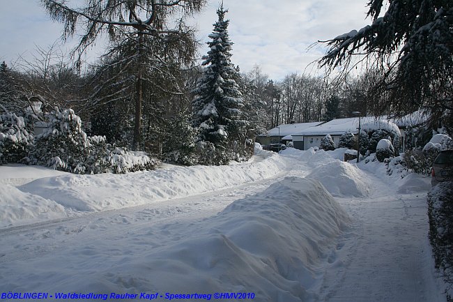 BÖBLINGEN-RAUHER KAPF > Waldsiedlung - Schneespaziergang am 26. Dezember 2010 > Spessartweg