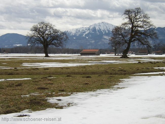 CHIEMSEE > Winterende > Weideland und Hochfelln