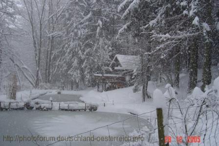 PÖLLAU > Winterlandschaft - Teich