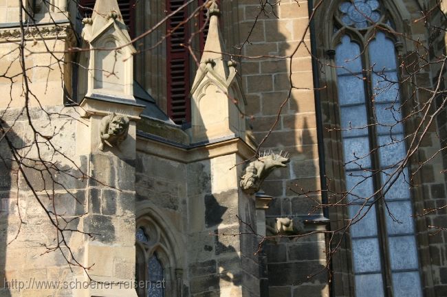 WIMPFEN IM TAL > Ritterstiftskirche Sankt Peter > Wasserspeier