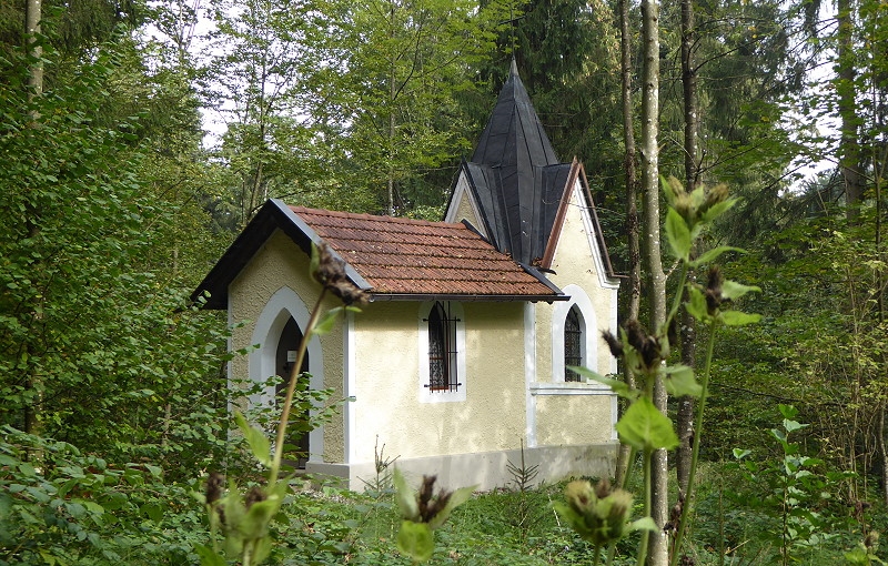 8 12 Kapelle und Pilze 036