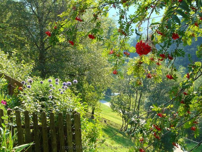 Radltour von Siegertsbrunn nach Meran