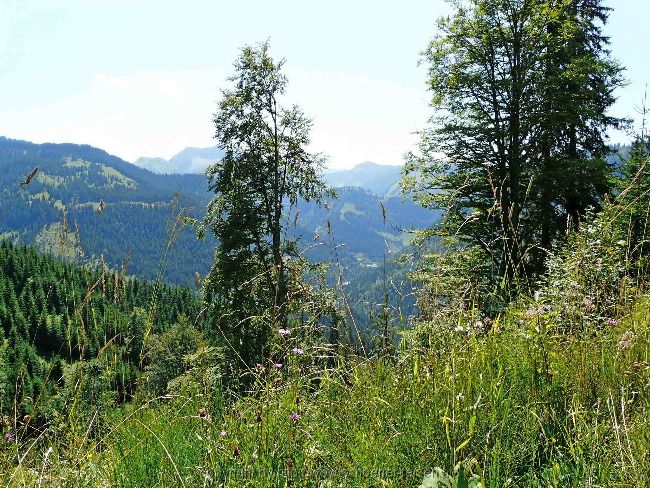 Radltour auf die Rotwandlalm