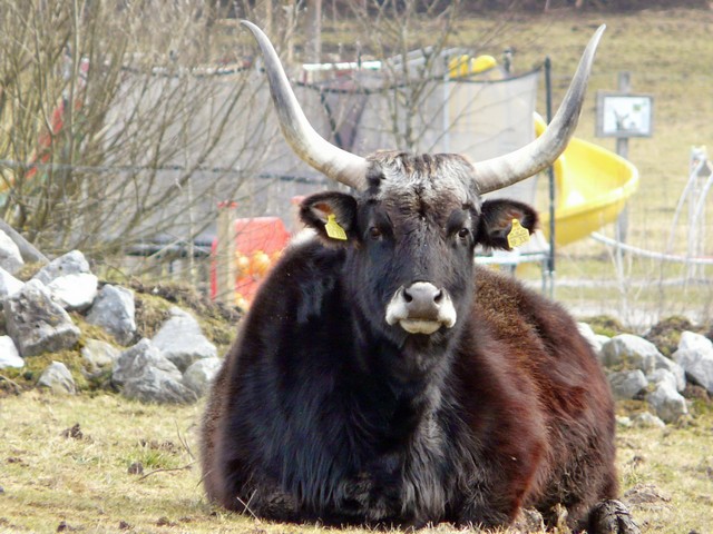 Mangfallknie, Wanderung zu einer geologischen Besonderheit, Teil 1 8