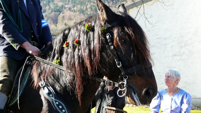 Leonhardifahrt 2011, in Kreuth beim  Tegernsee 5