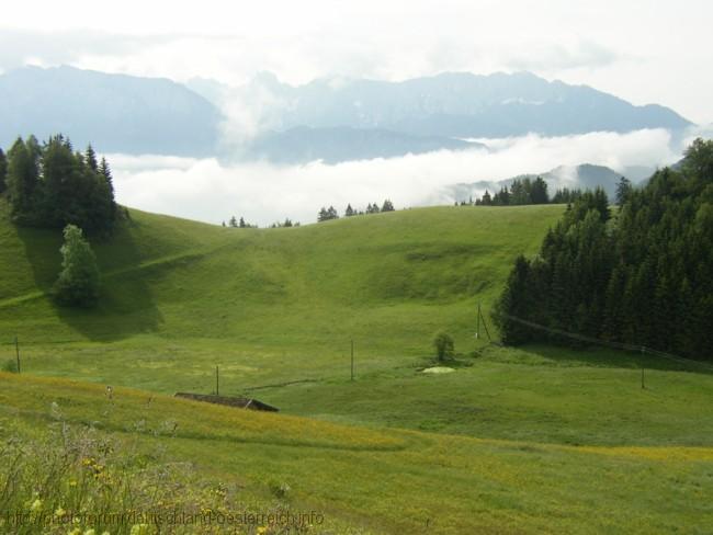 OBERAUDORF > Weg zum Bichler See