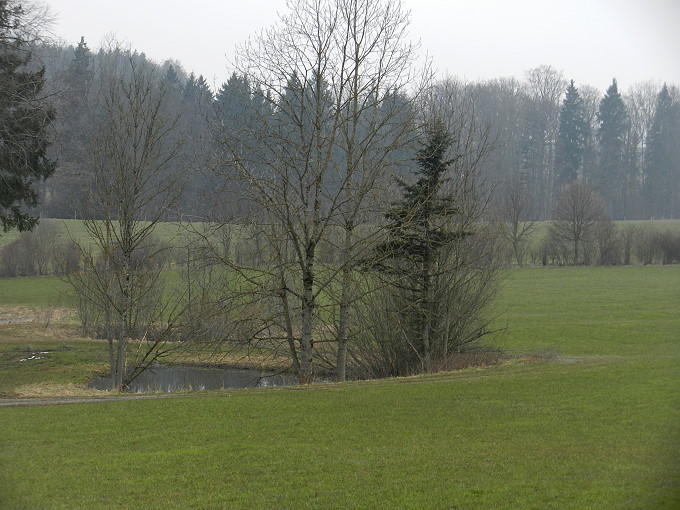 bei Irschenberg im April 4