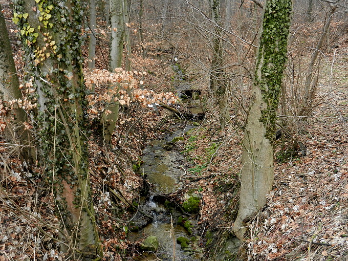 bei Irschenberg im April 6